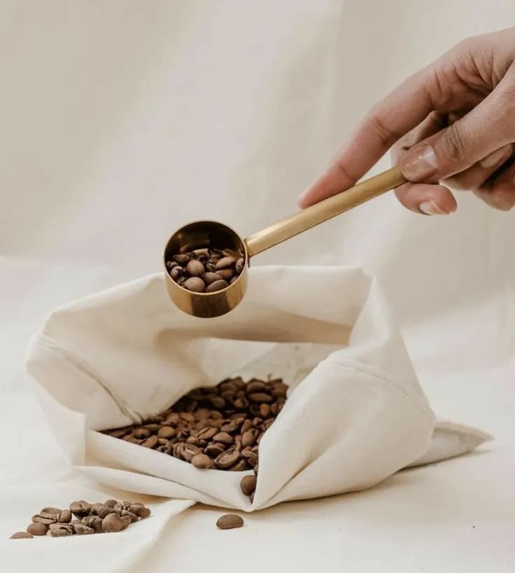 Кофе из Танзании: почему стоит попробовать